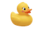 Rubber duck